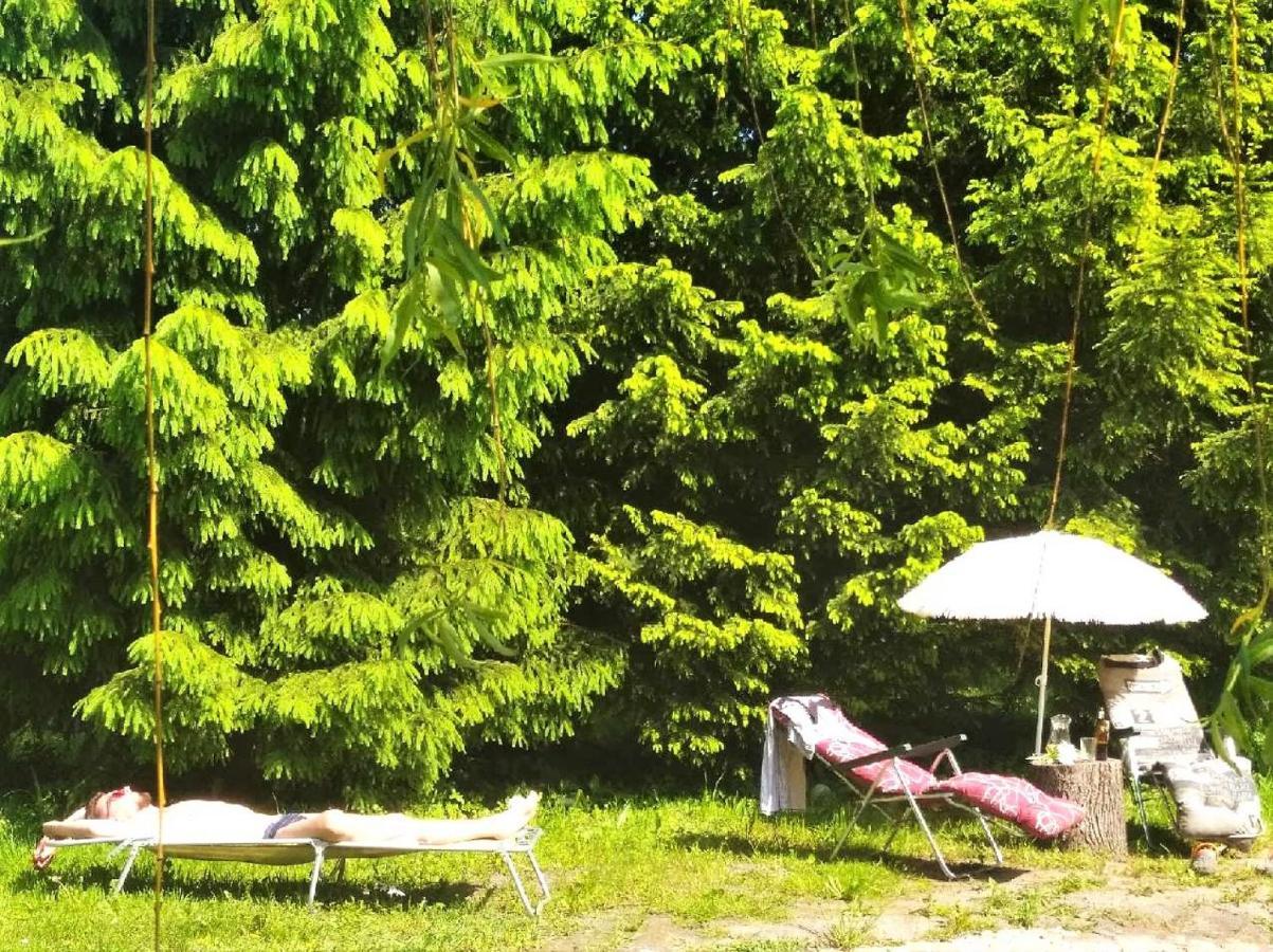 Stara Szkolas7 Noclegi,Mzajezierze 8 14-330 Mazury Małdyty Extérieur photo