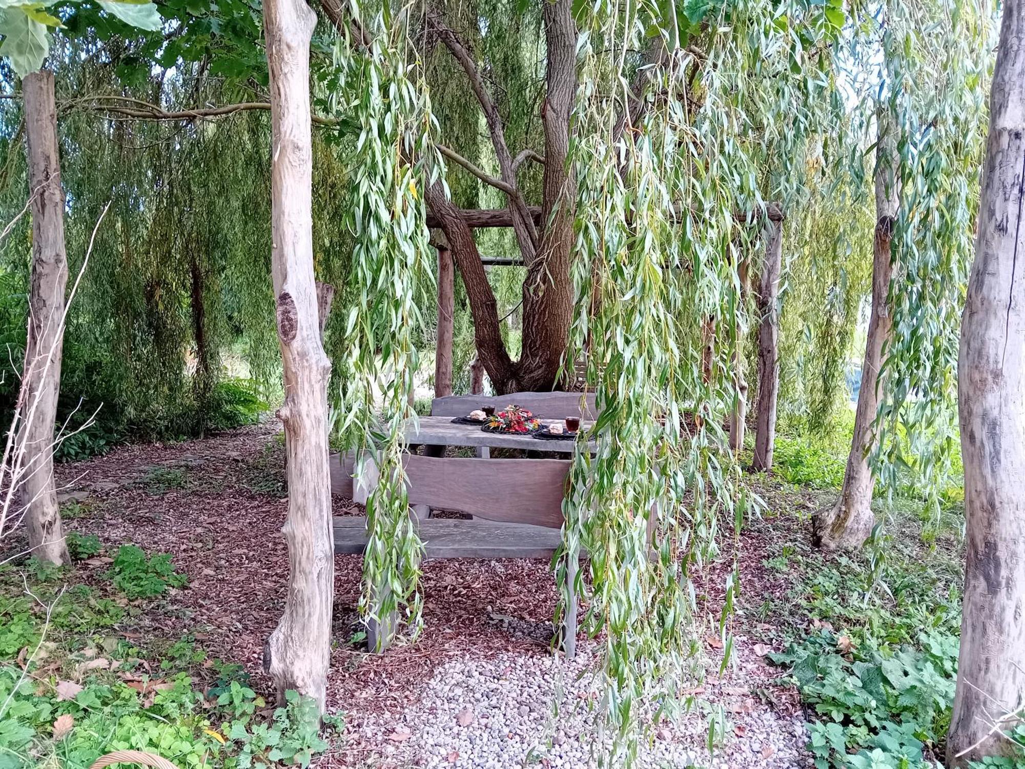 Stara Szkolas7 Noclegi,Mzajezierze 8 14-330 Mazury Małdyty Extérieur photo